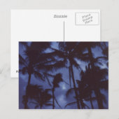 Moonlight PalmTrees Postcard Postkarte (Vorne/Hinten)
