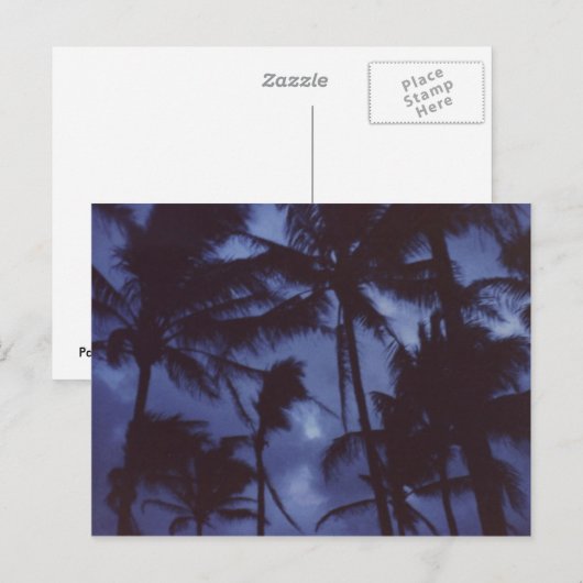 Moonlight PalmTrees Postcard Postkarte (Vorne/Hinten)