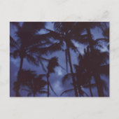 Moonlight PalmTrees Postcard Postkarte (Vorderseite)