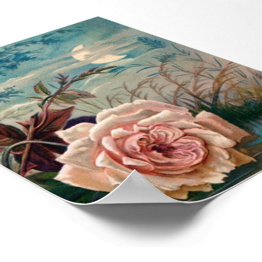 Moonlight Rose Serenade Poster (Ecke)