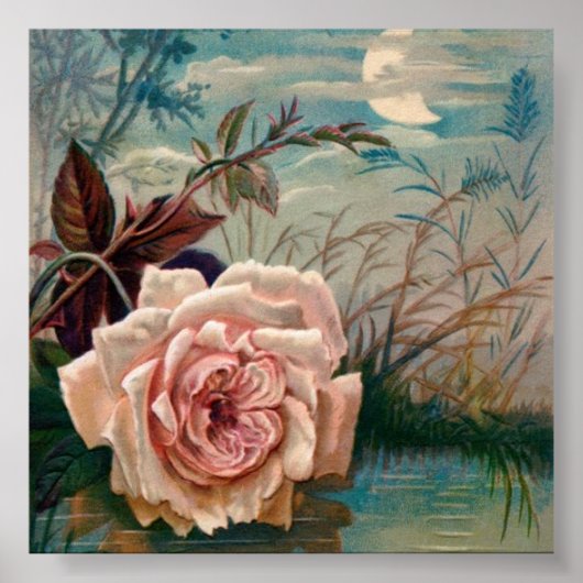 Moonlight Rose Serenade Poster (Vorne)
