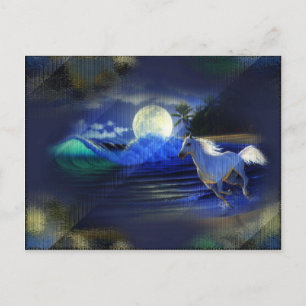 Moonlight Run Postcard Postkarte
