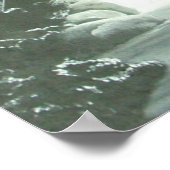 Moonlight Shadows Poster (Ecke)