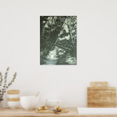 Moonlight Shadows Poster (Küche)