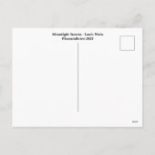 Moonlight Sonata Louis Wain Feiertagspostkarte (Rückseite)