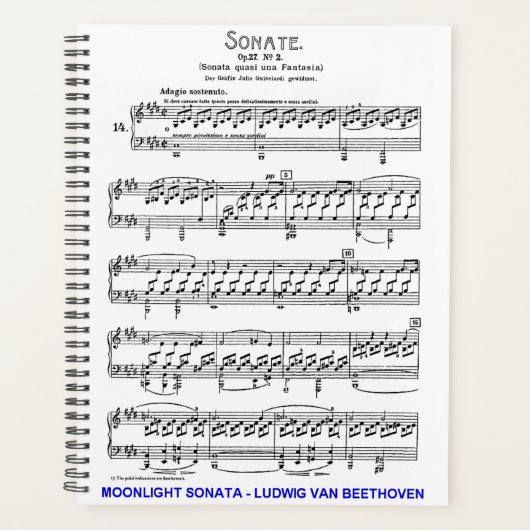 Moonlight-Sonata-Ludwig-Beethoven Planer (Vorderseite)