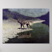 Moonlight Wolf Poster (Vorne)