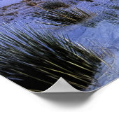 Moonlight Yucca Poster (Ecke)