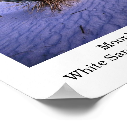 Moonlight Yucca Poster (Ecke)