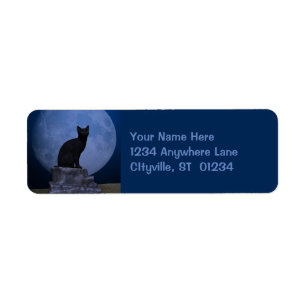 Moonlit Cat