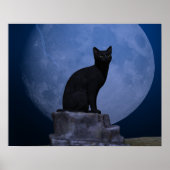 Moonlit Cat Poster (Vorne)
