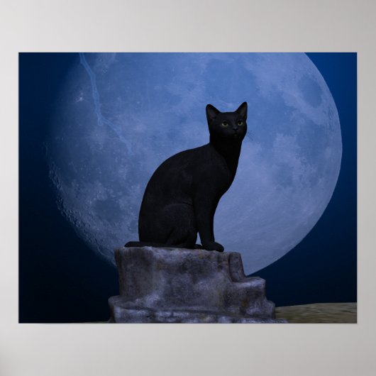 Moonlit Cat Poster (Vorne)