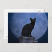 Moonlit Cat Postkarte (Vorne/Hinten)