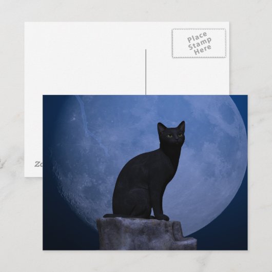 Moonlit Cat Postkarte (Vorne/Hinten)