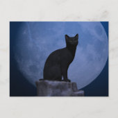 Moonlit Cat Postkarte (Vorderseite)