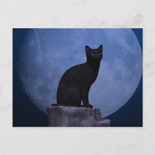 Moonlit Cat Postkarte (Vorderseite)