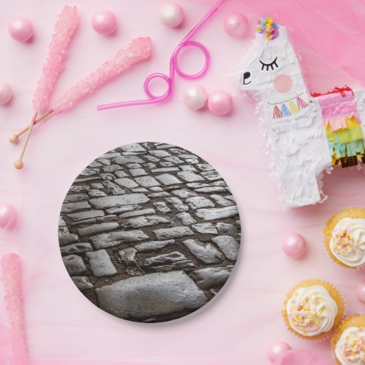 Moonlit Cobblestones Pappteller (Party)