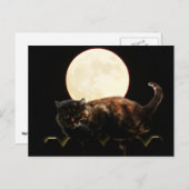 Moonlit Katze auf einem Zaun mit Vollmond Postkarte (Vorne/Hinten)