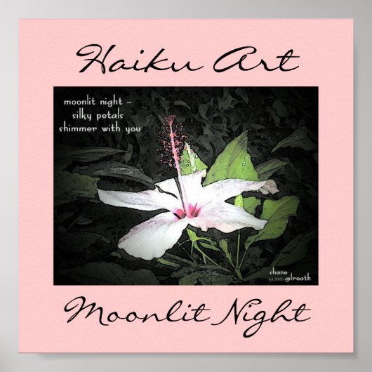 Moonlit Night Haiku Art Print Poster (Vorne)