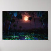 Moonlit Oasis (Illume) Poster (Vorne)