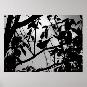 Moonlit Rendezvous Poster