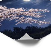 Moonlit Sakura – Cherry Blossoms Under a Full Moon Poster (Ecke)
