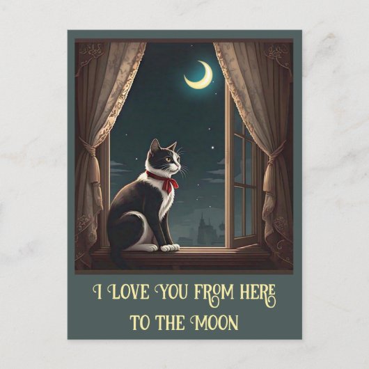 " MOONLIT WHISKER " POSTKARTE (Vorderseite)