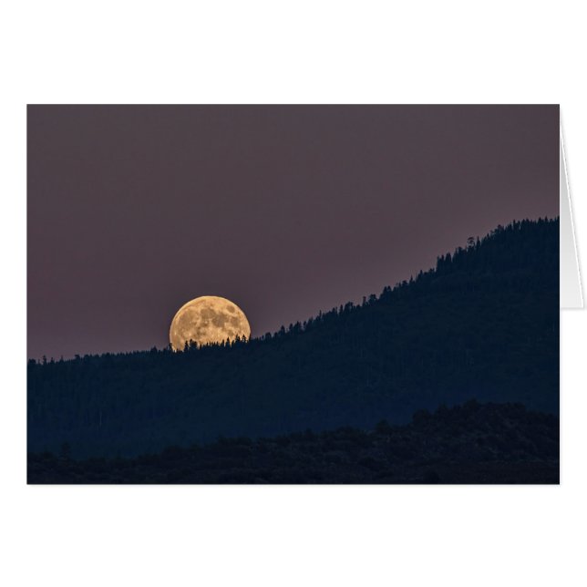 MOONRISE (Vorderseite (Horizontal))