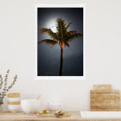 Moonrise auf Palm Poster (Küche)