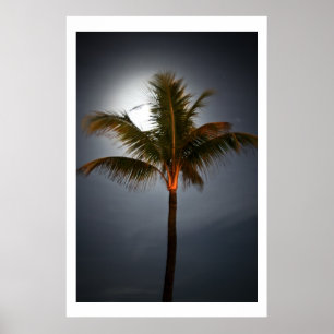 Moonrise auf Palm Poster