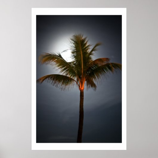 Moonrise auf Palm Poster (Vorne)