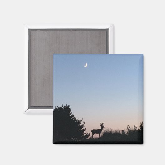 Moonrise Magnet (Vorderseite/Rückseite)