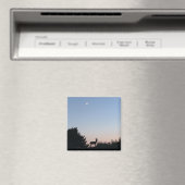 Moonrise Magnet (In Situ (Geschirrspüler))