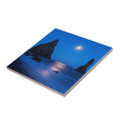 Moonrise-Reflexion über Meeres- und Meeressteine Fliese (Seite)