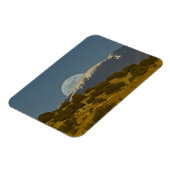 Moonrise über dem Sangre de Cristo, Magnet (Linke Seite)