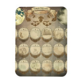 Moon's Mystique - Antiquitätenphasen des Mondes Ca Magnet (Vertikal)