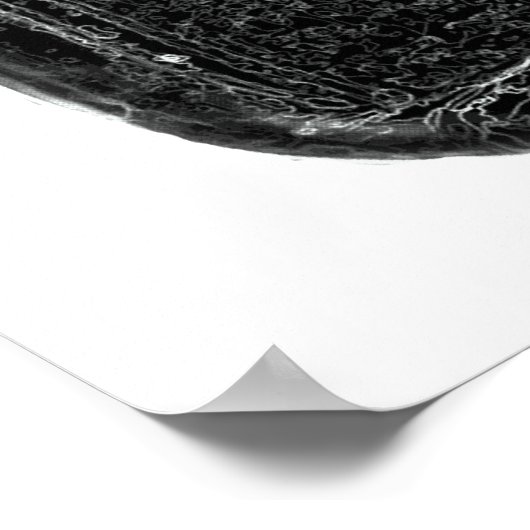 Moonshine Flasche Poster (Ecke)