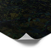 Moonshrooms Poster (Ecke)