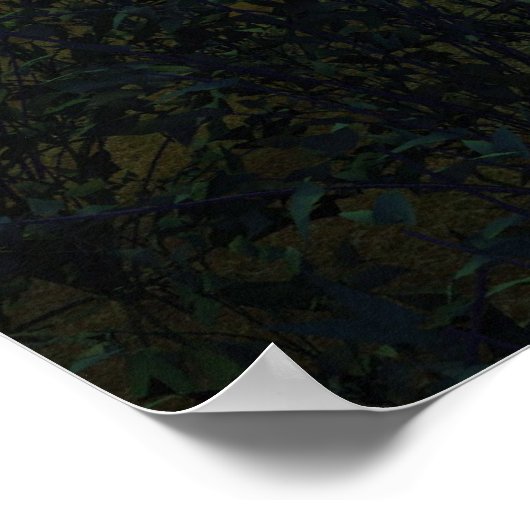 Moonshrooms Poster (Ecke)