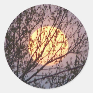 moontree runder aufkleber