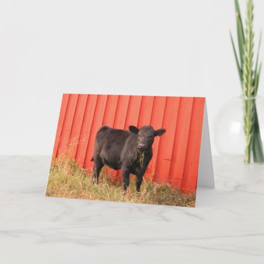 Mooooo Karte (Vorderseite)