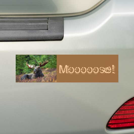 Moooose! Autoaufkleber (Auf Auto)