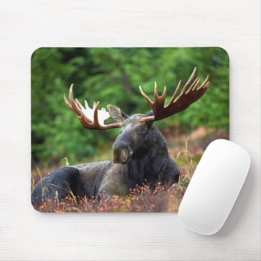 Mooose! Mousepad (Mit Mouse)