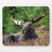 Mooose! Mousepad (Vorne)