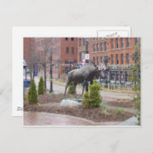 Mooose! St. John, NB Postkarte (Vorne/Hinten)