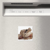 Moor Frog - Rana arvalis Magnet (In Situ (Geschirrspüler))