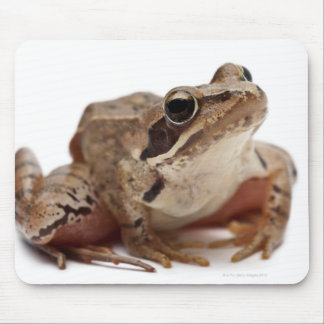 Moor Frog - Rana arvalis Mousepad