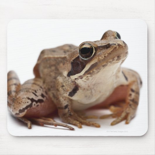 Moor Frog - Rana arvalis Mousepad (Vorne)