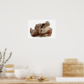 Moor Frog - Rana arvalis Poster (Küche)