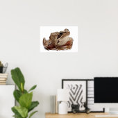 Moor Frog - Rana arvalis Poster (Heimbüro)